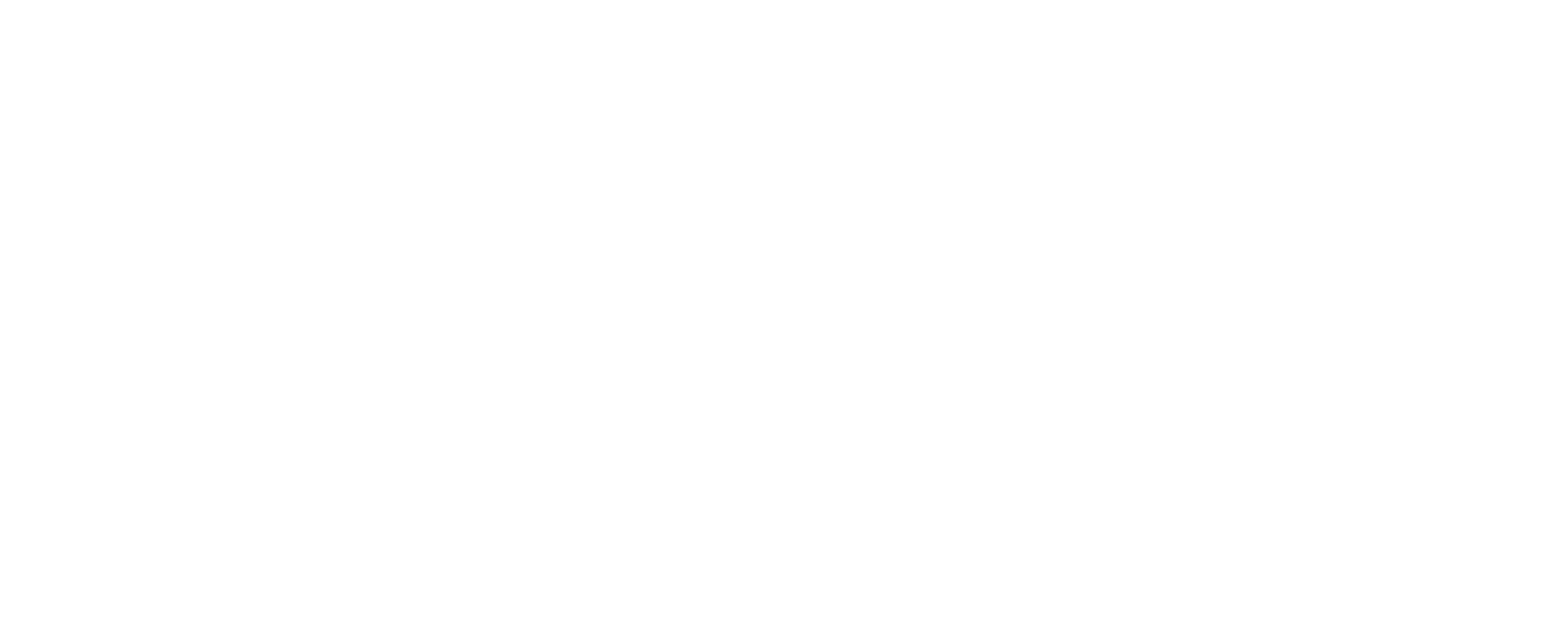 Sparrion Technologies Logo